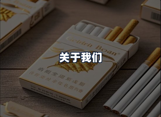关于我们